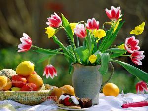 خرید گلخانه