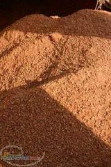 پودر هسته خرما