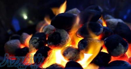فروش زغال فشرده - زغال باربیکیو مخصوص صادرات