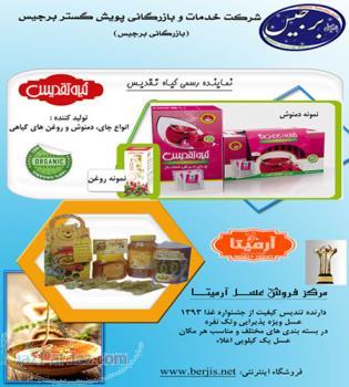 فروشگاه اينترنتي برجيس