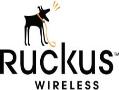 تجهیزات حرفه ای وایرلس ruckus wireless  - تهران
