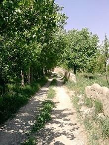 شهریار  برد اباد  - تهران