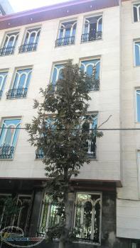 اکازیون تهرانپارس 