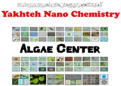 شرکت نانو شیمی یاخته  - تهران