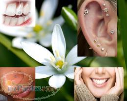 سوراخ کردن گوش و بینی-نگین دندان -مطب پزشک-اکباتان