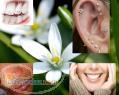 سوراخ کردن گوش و بینی-نگین دندان -مطب پزشک-اکباتان