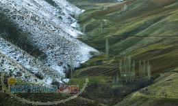 فروش یک قطعه باغ گردو وبادام تمام قطره ای 