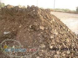 فروش کود مرغی و گاوی