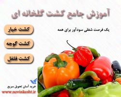 فروش پستی اموزش کشت خیار و گوجه و فلفل  - تهران