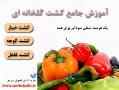 فروش پستی اموزش کشت خیار و گوجه و فلفل  - تهران