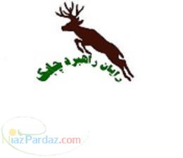 کاتالوگ آموزشهای تخصصی رایان راهبرد چابک 