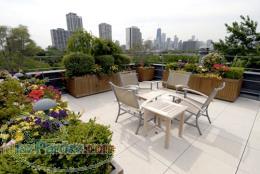 طراحی و اجرای روف گاردن (باغ بام ) و گرین وال ( دیوار سبز ) در جنوب کشور (فارس اصفهان بوشهر)