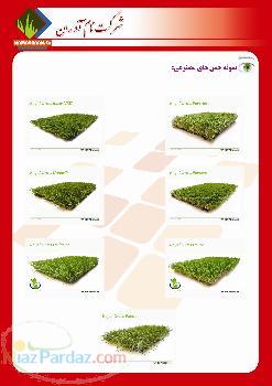 فروش چمن مصنوعی تحت لیسانس هلند