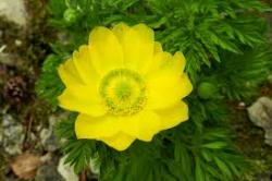 مشاوره تحقیقات و پروژه های دانشجویی  - تهران