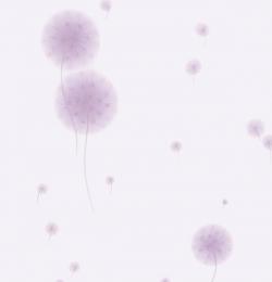 پخش کاغذدیواری g stone 