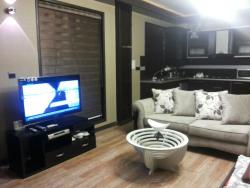 rent furnished apartments in tehran weekly mounthly  - تهران