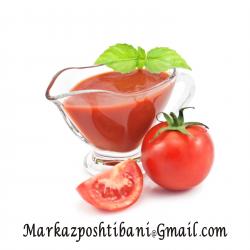 فروش رب گوجه فرنگی فله  قوطی  اسپتیک  - تهران