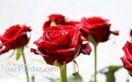 جابه جايي سرباز نيروي زميني ارتش از شاهرود به مشهد 
