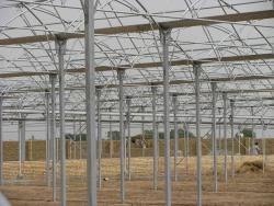 ساخت گلخانه  سازه گلخانه  گلخانه ساز گلخانه سازی  - تهران