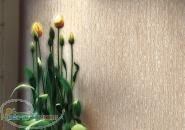 استخدام منشی  استخدام منشی آشنا به حسابداری