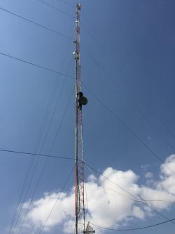 انجام پروژه وایرلس بصورت تضمینی با بهترین قیمت  - تهران