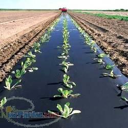 انواع نايلون گلخانه ای و کشاورزی( مالچ مشكي و دو رنگ )در عرض و ضخامت های مختلف