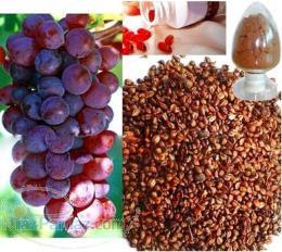 فروش هسته انگور 