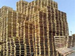 خرید انواع پالت چوبی و پلاستیکی و ضایعات چوبی  - تهران