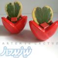 فروش کاکتوس (آرتمیس کاکتوس)