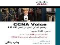 ترجمه کتاب ccna voice  - تهران