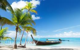 شرکت خدماتی ساحل (با مجوزرسمی 2198)