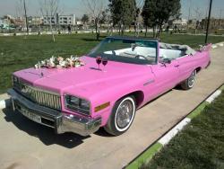 اجاره ماشین عروس صورتی کروک 09126944935  - تهران