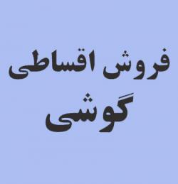 فروش اقساطی گوشی 