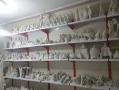 پخش مجسمه های پلی استر  رزین و فایبرگلاس 