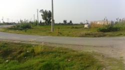 فروش زمین تجاری نزدیک بندر امیر اباد 