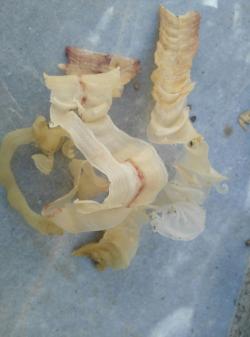 کتیرا اعلاء 