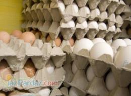 فروش تخم مرغ 