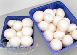 ظروف بسته بندی قارچ