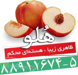 نرم افزار رستوران و فسد فود هلو