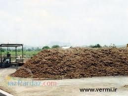 قيمت کود گاوي 