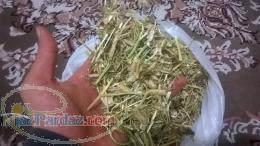 فروش عمده کاه لوبیا چیتی با کیفیت عالی و مرغوب 