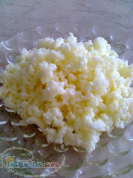 فروش قارچ کفیر - نیشابور 