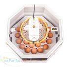 فروش دستگاه جوجه کشی تمام استیل 30 تایی 