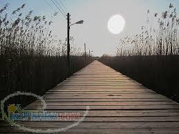 فروش زمین در شهر ساحلی کیا شهر