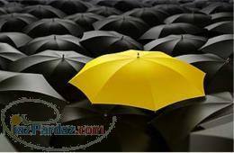 بازاریاب بیمه 