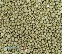 سفیر پلاستیک 