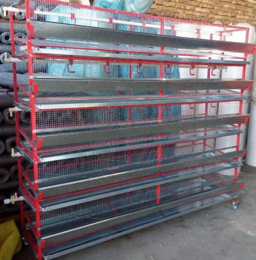 طراحی و ساخت قفس بلدرچین تخم گذار 