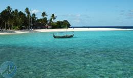 خریدار ال 90 تا 91 