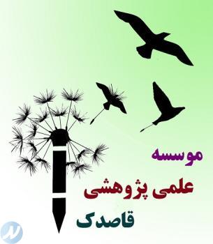 ترجمه زبان انگلیسی یزد