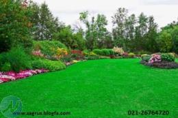 فروش کود حیوانی ، خاک  و انواع ماسه ، فروش گل و گیاه  ( مجری فضای سبز ) 